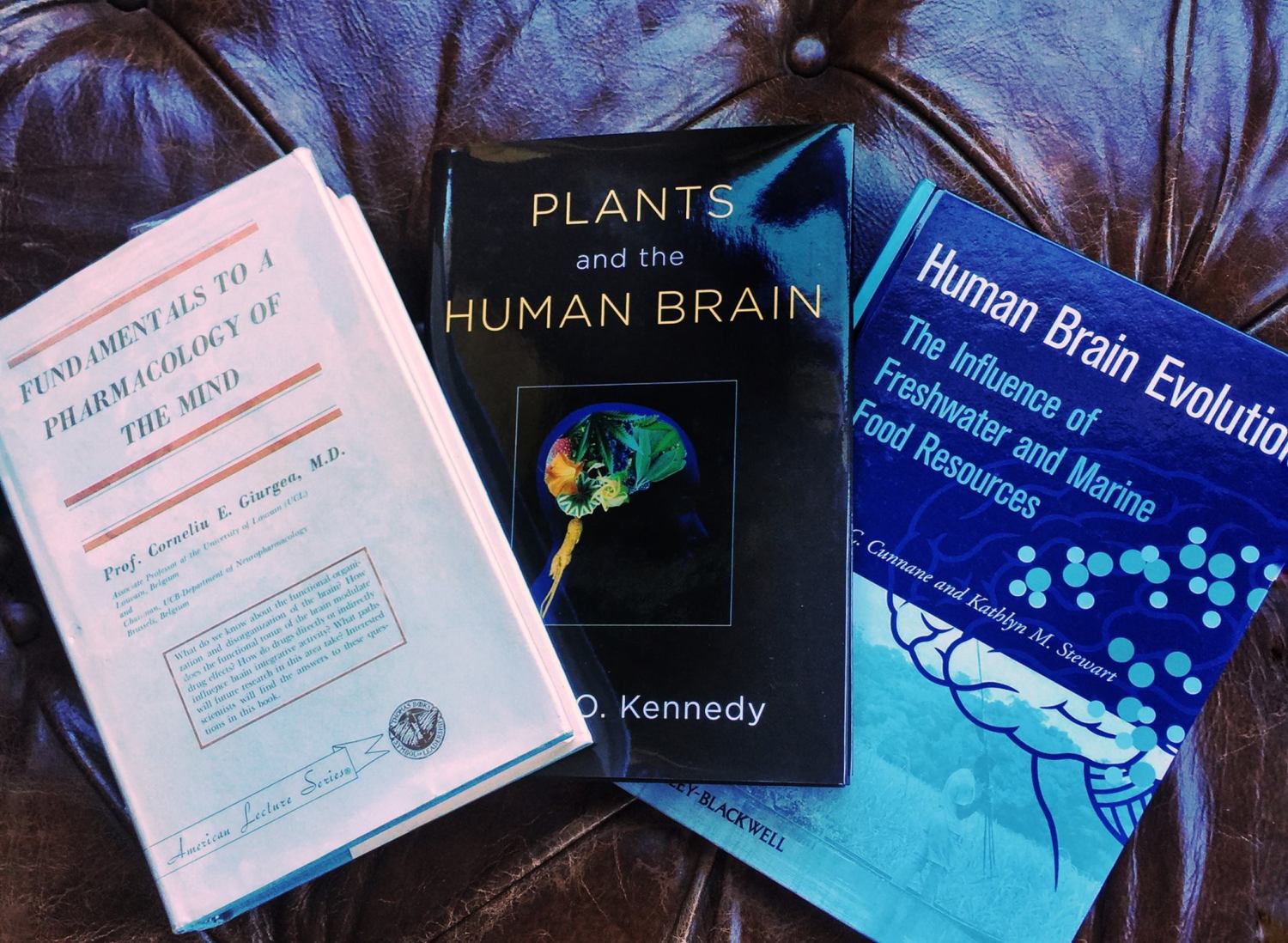 Plants, Nootropics & Human Brain Evolution Talk By Eric Matzner